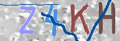 キャプチャ画像