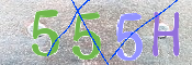 キャプチャ画像
