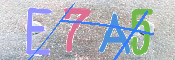 キャプチャ画像