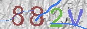 キャプチャ画像